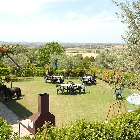 La Piaggiola Degli Olivi *