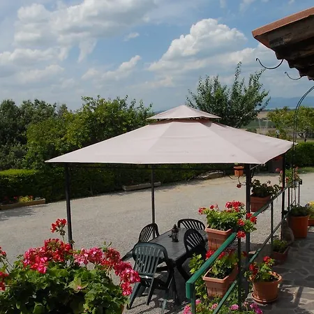 La Piaggiola Degli Olivi