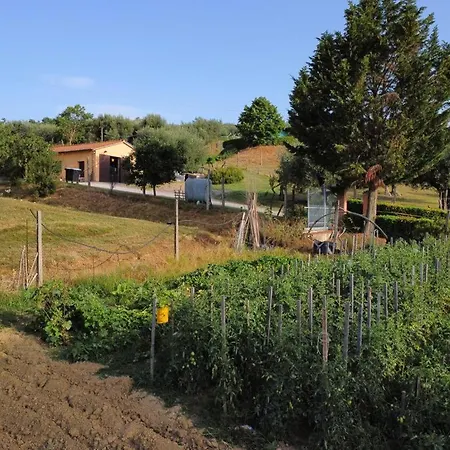 Çiftlik konaklama La Piaggiola Degli Olivi *