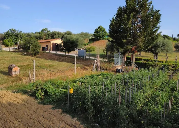 Alojamento de Turismo Rural La Piaggiola Degli Olivi *